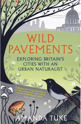 Wild Pavements front cover