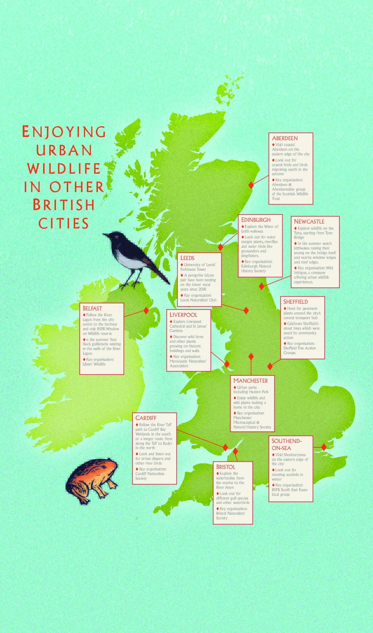 Wild Pavements front cover